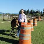 Debi Pavlich-Boaz trains Spirit, a mini-horse gelding, to stay aligned by her side as she leads him in a pattern around the barrels. Shes hopeful to get together a like-minded group of owners willing to take part in a fundraiser that offers an in-hand obstacle and trail training clinic. (Karen Griffiths)