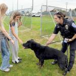 Port Angeles Police Officer Whitney Fairbanks and her K-9 partner Copper greet Harper Barrett, 12, and Ridley Bruni, 11, both of Sequim, during Tuesdays National Night Out at Port Angeles Civic Field. The nationwide event brought law enforcement agencies, watch groups and civic organizations together for an evening of community building, featuring informational displays, childrens activities and a large-screen movie presentation. (Keith Thorpe/Peninsula Daily News)