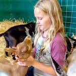 Avery Reeser, 10, of Sequim, pets Mai Tai, her Nigerian Dwarf goat entered in the Jefferson County Fair at the Jefferson County Fairgrounds. The fair opens at 10 a.m. today and runs through Sunday in Port Townsend. (Steve Mullensky/for Peninsula Daily News)