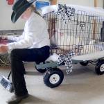 Natilee Winters, 11, a member of the Port Angeles-based Lambchops 4-H Club, sits on a display cart with her chickens as she awaits her turn in the auction ring during the Pacific Northwest Junior Livestock Auction on Saturday at the Clallam County Fair. Dozens of youngsters put their animals on the auction block in hopes of a large payoff for their livestock-rearing efforts. (Keith Thorpe/Peninsula Daily News)