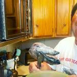 Joel Kawahara prepares his famous fish head stew in 2018. (Kellie Henwood)