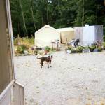 Becky Forrester participated in a project during which people living in Port Townsend and experiencing homelessness were given cameras to photograph their lives. After finding housing at Caswell-Brown Village, she started a community garden. (Becky Forrester)
