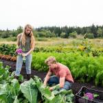 Siblings Grace and Ben Thompson own Kodama Farm and Food Forest. (Deja View Photography)