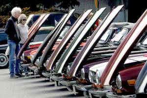 Harvey and Sue Anderson of Minneapolis, Minn., examine a line of classic Triumph automobiles during a Triumph car show on Saturday in the parking lot of the Clallam County Courthouse in Port Angeles. The Tyee Triumph Club hosted the event, which drew about 80 of the cars from around the Pacific Northwest. (Keith Thorpe/Peninsula Daily News)