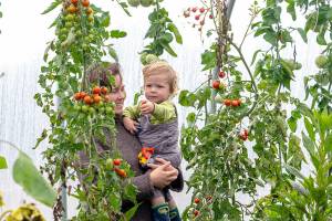 Lyle Baird, 1, seems to be telling his mom, Jaimie, of Port Townsend, that he wants a particular cherry tomato from the vine at Shy Acre Farm in Port Townsend while on the 23rd annual Jefferson County Farm Tour on Saturday. Shy Acre Farm was one of 15 around the county on the tour. (Steve Mullensky/for Peninsula Daily News)