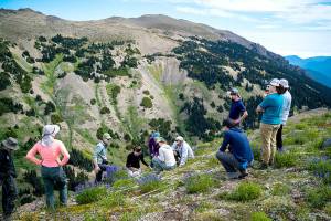 Robbie Hart, third from left, trains the Global Observation Research Initiative in Alpine Environments (GLORIA) team students on how to perform the botanical research in the grid on the first day of the experiment. Elk Mountain is in the background. (Eric DeChaine/Western Washington University)