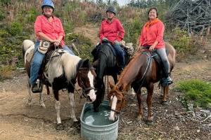Photo by Helen Shrewman
Prize riders Michelle Neville, on Ellie, (Spanaway) left, Mary Quinn, on Scarlet, (Tahoma) and Camille Rucker, on Fancy (Rainier) take a break along the trail at the Snack Water Stop (set up for the ride by Peninsula Chapt).