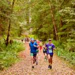 Competitors in the first Spruce Railroad Trail 5K/10K in 2024 run down a leaf-covered path along Lake Crescent. (Matt Sagen/Cascadia Films)