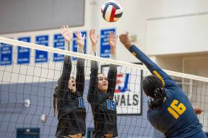 Steve Mullensky/for Peninsula Daily News

Rivals Emma Joy, #18, and Penina Vailolo, #15, jump up to block a spike by Annie Wright Gator Ni'Yah Christopher during a game played on Wednesday in Chimacum.