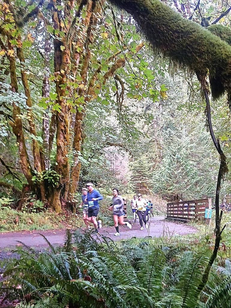 Runners take the path through thick rainforest at the Spruce Railroad Run. (Pierre LaBossiere/Peninsula Daily News)