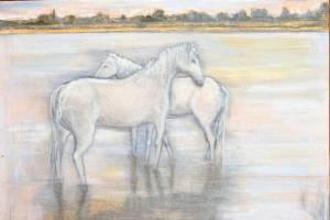 Port Townsend artist Elisabeth Mentions Camargue Horses is among the new artworks at Jefferson Healthcare hospital.