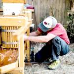 The Production Alliance will press cider on site, boiling it and making hot cider. (Sarah Wright)