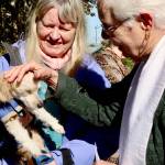 Pastor Beth Oling of Holy Trinity Lutheran Church of Port Angeles blesses Lille, a 17-year-old Havanese dog, at the annual Blessing of the Animals event at the Holy Trinity Lutheran Church Sunday afternoon. Roxanne Grinstad is the dogs owner. About a dozen dogs and cats came for the special blessing. The church blesses animals to celebrate the Creation Season and St. Francis’ love of animals. (Dave Logan/for Peninsula Daily News)