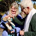 Pastor Beth Oling of Holy Trinity Lutheran Church of Port Angeles blesses Lille, a 17-year-old Havanese, at the annual Blessing of the Animals event at the Holy Trinity Lutheran Church Sunday afternoon. Roxanne Grinstad is the dogs owner. About a dozen dogs and cats came for the special blessing. The church blesses animals to celebrate the Creation Season and St. Francis love of animals. (Dave Logan/for Peninsula Daily News)
