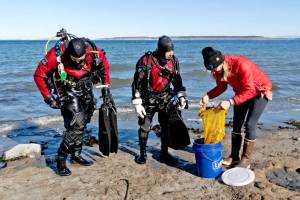 Scuba divers Shawn Augustine, left, Chris Van Damme and Jackie Selbitschka, all with Reef Check, an international non-governmental organization dedicated to the conservation of two ecosystems  tropical coral reefs and temperate kelp forests  place instruments recovered from a buoy in a bucket of water on Tuesday to keep them wet until the data can be downloaded. The data contains information on the salinity, Ph, dissolved oxygen and temperature of the kelp in the 50-degree water of the Salish Sea. (Steve Mullensky/for Peninsula Daily News)