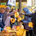 Mike Cornforth, left, and wife Linda Martin hand out No Kings crowns to participants in the No Kings Rally, protest and march that started in Kai Tai Lagoon park on Saturday afternoon. It was estimated that close to 3,000 protestors took part in the rally to call attention to the distrust and hatred of the political party in Washington, DC. (Steve Mullensky/for Peninsula Daily News)