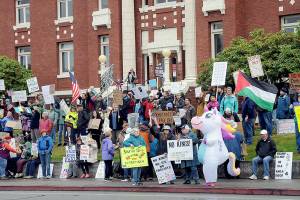 A crowd gathers on the lawn of the Clallam County Courthouse on Saturday for one of two No Kings rallies in Port Angeles protesting the policies of President Donald Trump and his administration. Several hundred people attended the courthouse demonstration with about a thousand at a concurrent rally at the intersection of First and Front streets on the east side of the city. (Keith Thorpe/Peninsula Daily News)