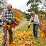 Brad Jensen and his wife MaryJo MacKenzie, both of Port Townsend, rake and gather leaves on Saturday at Fort Worden State Park. The couple planned to use the leaves as mulch in their garden. (Steve Mullensky/for Peninsula Daily News)
