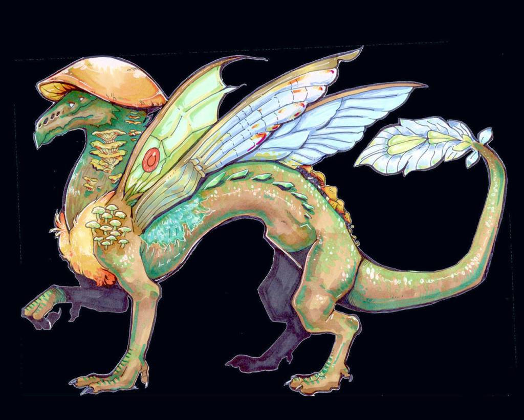 Mushroom Dragon by Lapka Cammry will be on display in the Judith McInnes Tozzer Art Gallery at Sequim Museum and Arts during Fridays Art Walk.