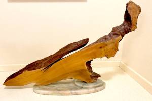 The Holiday Nature Mart will raffle this driftwood sculpture, Denison of the Deep by Tuttie Peetz.