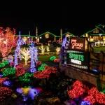 Every holiday season, crews string colorful Christmas lights on every shrub and tree at 7 Cedars and other Jamestown SKlallam Tribe properties. (Patrick Walker/Olympic Peninsula News Group file)
