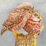 Ill Tell You a Secret by Rose Guastella is among the avian tributes in Small Expressions, on view through Jan. 5 at Northwind Arts Jeanette Best Gallery in Port Townsend. (Rose Guastella)