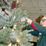Sherilyn Seyler puts the lights on her tree for the Festival of Trees on Monday. Her tree is named Christmas at the Hucklebeary Ranch. There will be 45 trees and a variety of wreaths, all created by some of the Peninsulas best designers, some of whom have decorated trees for all 35 years of the Olympic Medical Center Foundation event. Opening ceremonies will begin today at 5 p.m. at the Vern Burton Community Center, 308 E. Fourth St., Port Angeles. (Dave Logan/for Peninsula Daily News)