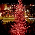 The 34-foot tree aglow with nearly 20,000 lights will adorn downtown Port Angeles through out the holiday season. (Dave Logan/For Peninsula Daily News)