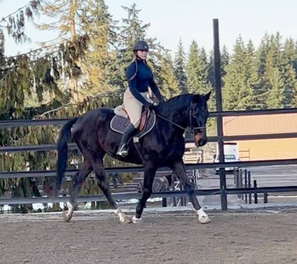 Living Well Farm student Ella Garcelon (on Finn) was among those who traveled to Kari Paynes 4-L Arena for the purpose of getting her horse to remain calm in different arenas and settings at shows. (Nancy McCaleb)