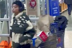 Angel Alleacya Boulia, 26, of St. Louis, Mo., was last seen shopping in Port Angeles on Nov. 17, National Park Service officials said. Her rented vehicle was located Sunday at the Sol Duc trailhead in Olympic National Park. (National Park Service)