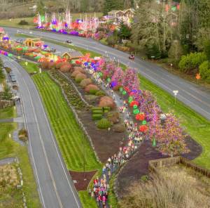 More than 350 runners are expected for the annual Jamestown S'Klallam Glow Run Saturday in Blyn. (Run the Peninsula)