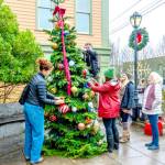 Port Townsend Main Street Program volunteers, from left, Amy Jordan, Gillian Amas and Sue Authur, and Main Street employees, Sasha Landes, on the ladder, and marketing director Eryn Smith, spend a rainy morning decorating the community Christmas tree at the Haller Fountain on Wednesday. The tree will be lit at 4 p.m. Saturday following Santas arrival by the Kiwanis choo choo train. (Steve Mullensky/for Peninsula Daily News)