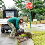 Patrick Zolpi-Mikols, a park aide with Fort Worden State Park, gathers and removes leaves covering the storm drains after an atmospheric river rainstorm early Wednesday morning in Port Townsend. A flood warning was issued by the National Weather Service until 11:11 a.m. today for the Elwha River at the McDonald Bridge in Clallam County. With the flood stage at 20 feet, the Elwha River was projected to rise to 23.3 feet late Wednesday afternoon and then fall below flood stage just after midnight. (Steve Mullensky/for Peninsula Daily News)