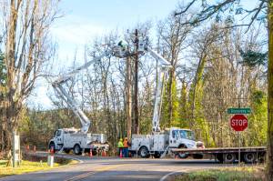 A crew from the Mason County PUD, in support of the Jefferson County PUD, works to replace a power pole and reconnect the power lines after a tree fell onto the wires and damaged the pole at the corner of Discovery Road and Cape George Road, near the Discovery Bay Golf Course. Powerful winds on Tuesday and early Wednesday morning knocked out power across the Peninsula. The majority had been restored by Wednesday. (Steve Mullensky/for Peninsula Daily News)