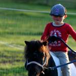 Isaac Stromberg, 5, having fun walking mini-horse Gypsy around her enclosed paddock. (Karen Griffiths/for Peninsula Daily News)