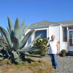 This agave grew from the size of a baseball in the 1990s to the height of Isobel Johnstons roof in 2020. She saw it bloom in 2023. Following her death last year, Clallam County Fire District 3 commissioners, who purchased the property on Fifth Avenue in 2015, agreed to sell it to support the building of a new Carlsborg fire station. (Matthew Nash/Olympic Peninsula News Group file)