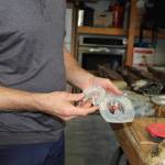 Karen Griffiths
Chris Niclas played a key role in designing the EasyCare Versa Grips Shoe Plug. It attaches to the center of Versa Grip horseshoes to prevent snow, ice and mud from building up under the hoof.