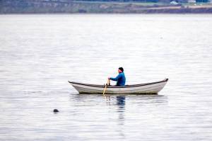 A seal pops its head out of the water as a dory rower propels his craft in the calm waters of the Salish Sea. Whidbey Island is in the distance. Todays high temperature is forecast to be in the low 50s with partly cloudy skies. Rain is set to return this weekend. (Steve Mullensky/for Peninsula Daily News)