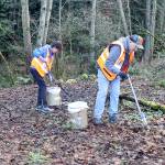 4PA volunteers Kathy and Vern Daugaard pick up litter on the edge of the Tumwater Truck Route this week. 4PA is a nonprofit organization dedicated to a clean and safe community. The efforts of staff and volunteers have resulted in the Touchstone Campus Project, which is being constructed in the 200 block of East First Street, with transitional housing for Port Angeles most vulnerable residents. Those interested in volunteering or donating can visit 4PA.org. (Dave Logan/for Peninsula Daily News)