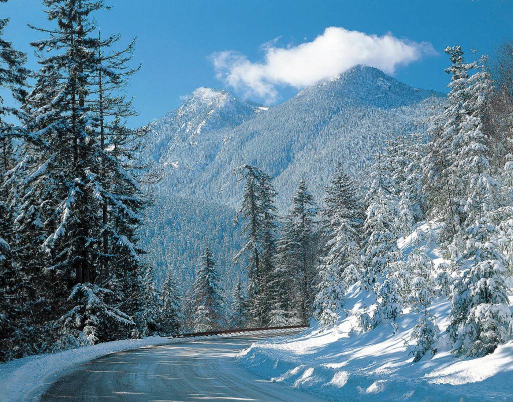 This photo by Ross Hamilton features Hurricane Ridge Road during the winter. It was used in Hamiltons The Olympic Peninsula calendar. (Ross Hamilton)