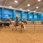 Photos by Katie Newton
Team Sorting has Asha Swanberg on Busy, left, with Katelynn Sharpe on Millie.