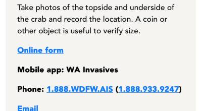 (Screenshot via Pat Neal/For Peninsula Daily News)