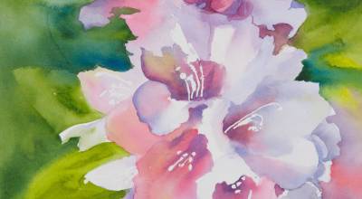 Jolene Sanborns watercolor, First To Bloom, will be featured in the gallery window at the Blue Whole Gallery in Sequim throughout May.