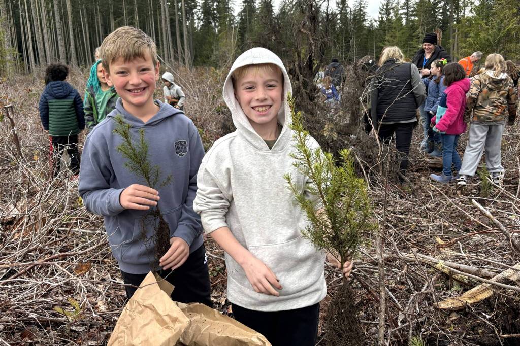 Cousins Hudson and Ellis Hueter partner to plant multiple trees as part of the Helen Haller Elementary field trip up Blue Mountain Road on March 25. (Matthew Nash/Olympic Peninsula News Group)