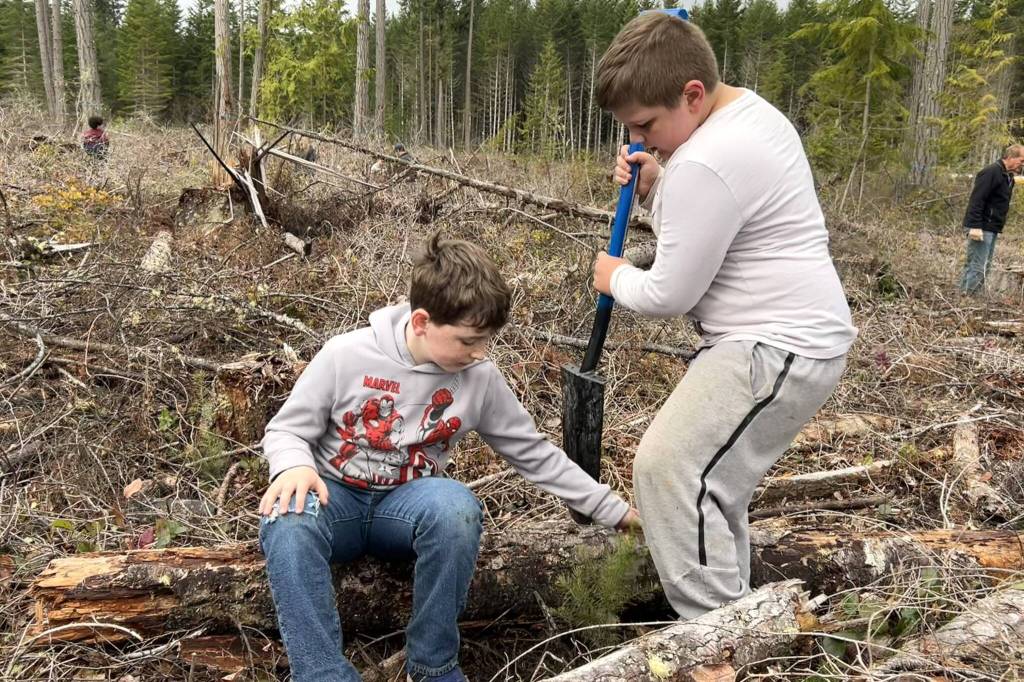 Henry Beck and Keith Berlinger plant a Douglas fir on March 25. (Matthew Nash/Olympic Peninsula News Group)