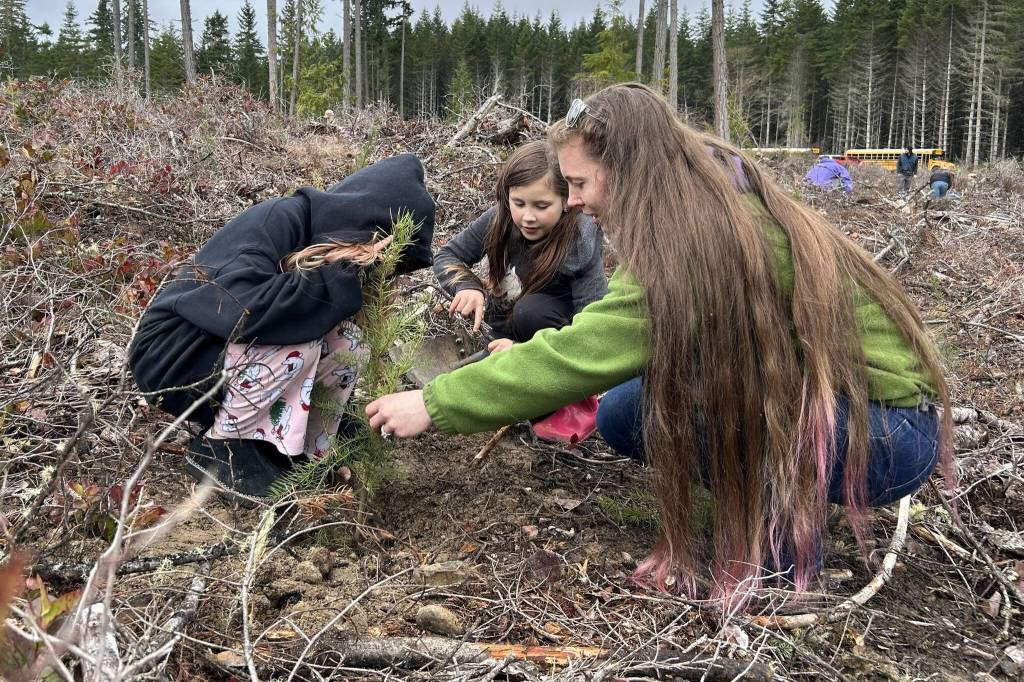 Third-graders plant trees on forest field trip