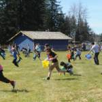 Kids ages 9 to 12 run under sunny skies in search of plastic eggs, some containing prize slips inside, during the Forks Elks Lodges annual Easter egg hunt on Saturday at the softball fields at Tillicum park. Age groups were divided into 0-4, 5-8 and 9-12, and tickets also were drawn for prizes. (Lonnie Archibald/for Peninsula Daily News)