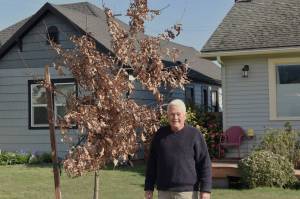 Paul Forrest of Port Angeles will receive the Out Standing in the Field Award on Sunday during the North Olympic Land Trusts 18th annual Conservation Connections gathering at Field Arts & Events Hall. (Annabelle ByrneStrong/North Olympic Land Trust)