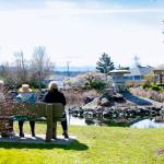 Visitors take in the view of the Friendship Gardens pond and the stone lantern that was delivered from Japan in fall 1997. (Monica Berkseth/Olympic Peninsula News Group)