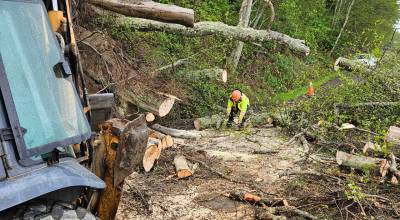 Work crews have removed trees and other debris from a landslide that closed a portion of the Olympic Discovery Trail east of Port Angeles last month.